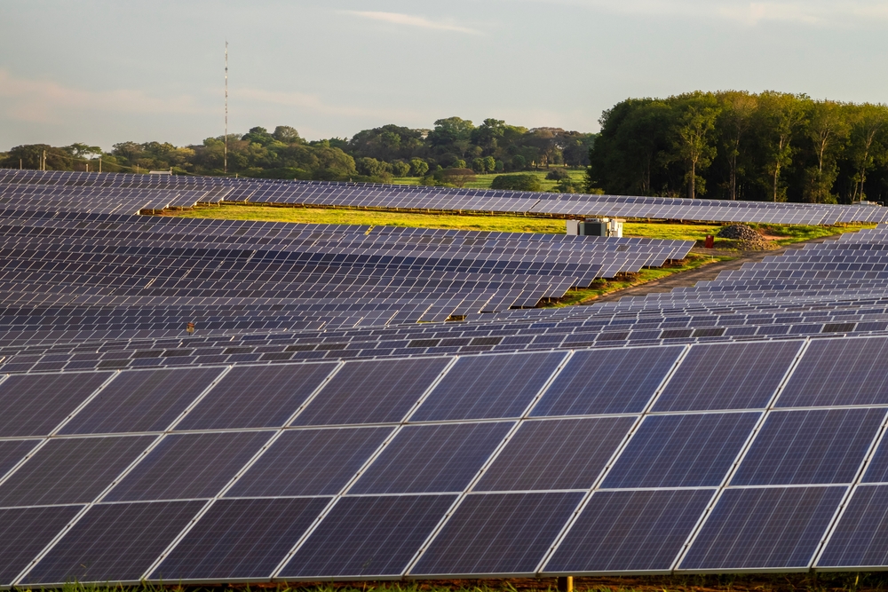 Rows of solar panels covering a field at a solar farm